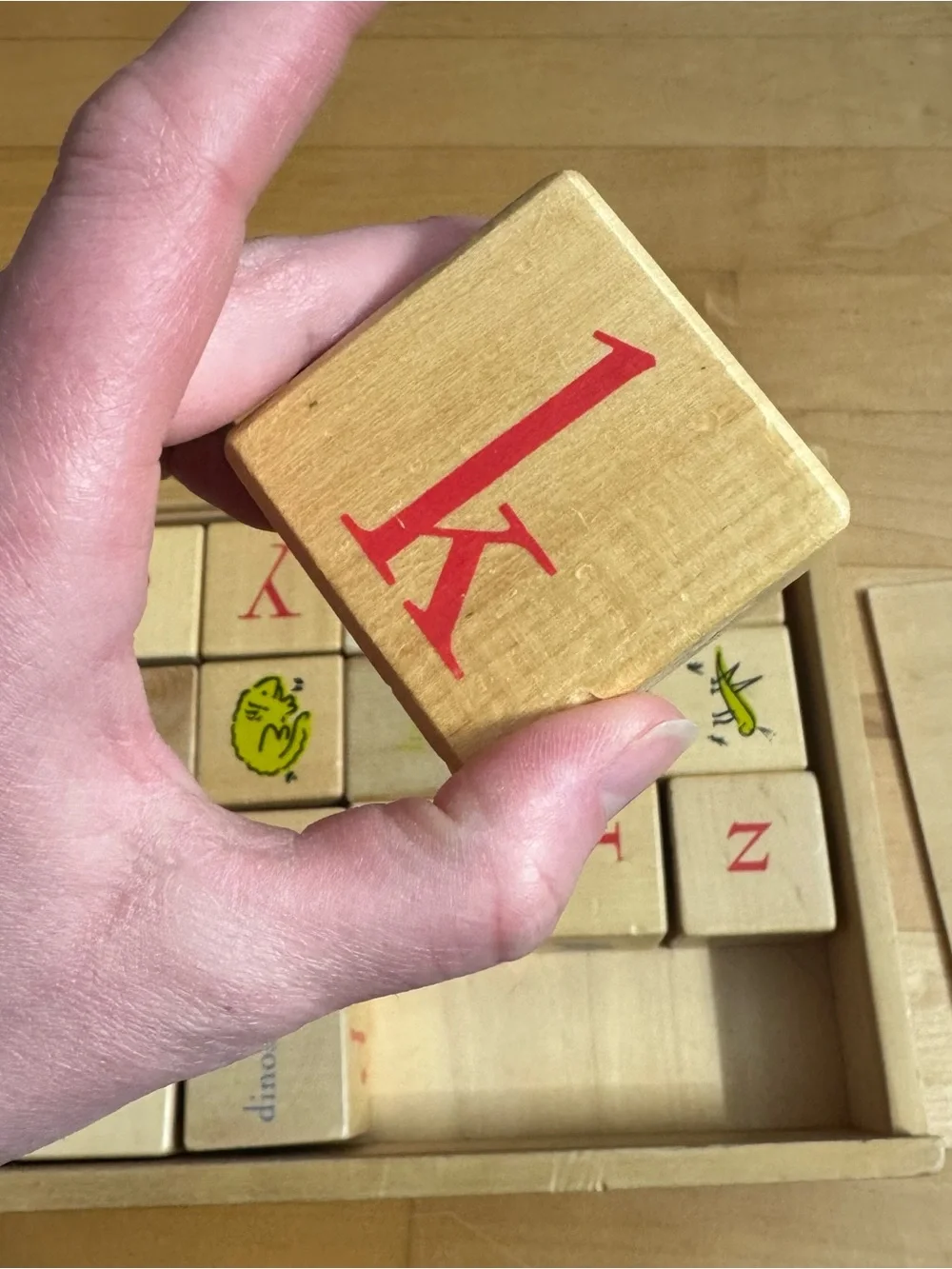 Pottery Barn Kids PBK Learning Alphabet‎ Blocks with storage box Montessori